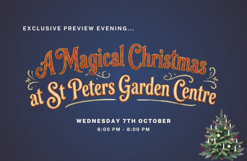 Christmas Preview Evening