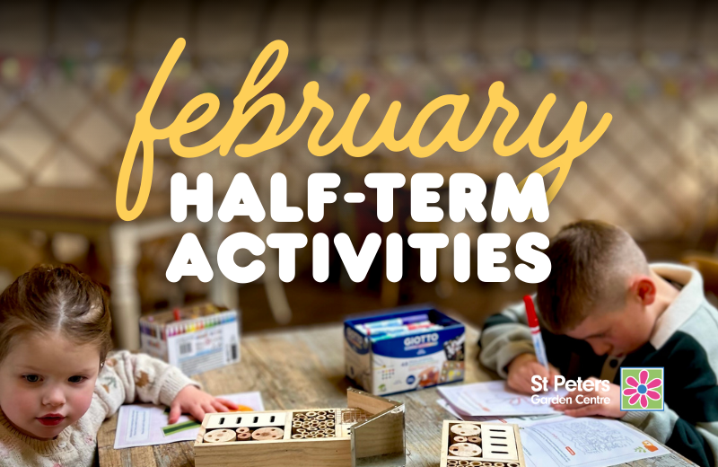 Kids Half-Term Activities
