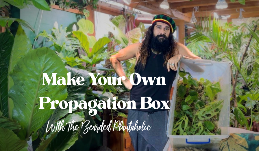 Propagation Box Workshop