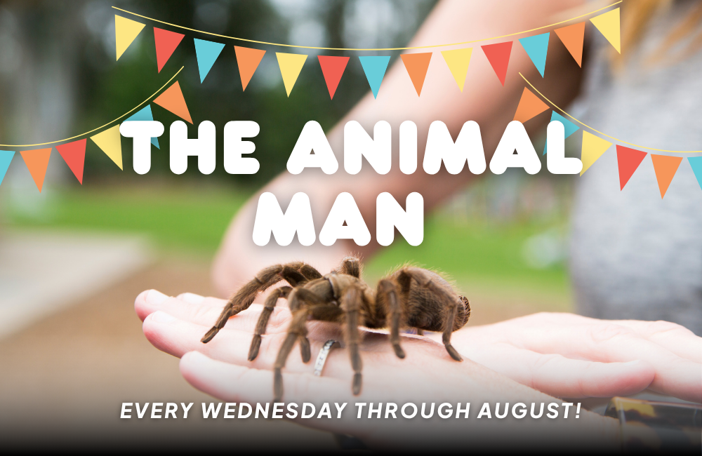 The Animal Man Show
