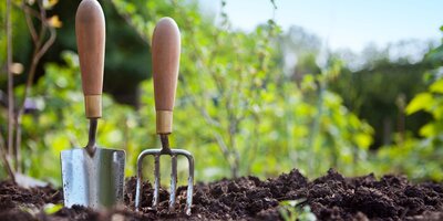 10 Essentials Every Gardener Should Have