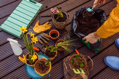 7 Ways To Be More Sustainable In Your Garden