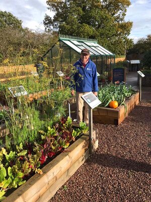 A chemical and pesticide-free year at Oliver’s Allotment