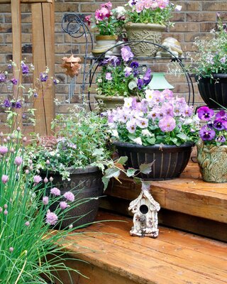 Fun Gardening Projects | Create your own colourful container