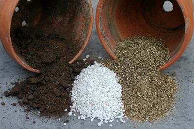 Vermiculite or perlite which to choose?
