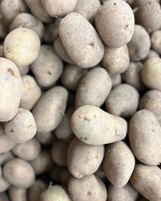 Why Seed Potatoes?