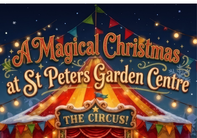 A Magical Christmas: Preview Evening