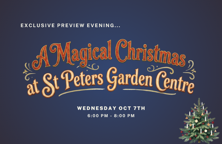 A Magical Christmas: Preview Evening