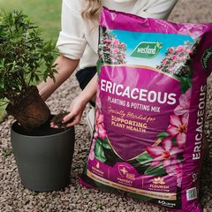 Ericaceous Planting & Potting Mix 60L - image 2