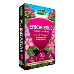 Ericaceous Planting & Potting Mix 60L - image 3