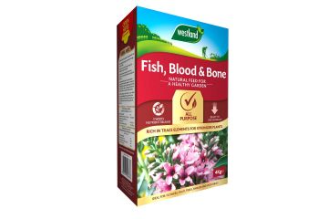 FISH, Blood & Bone