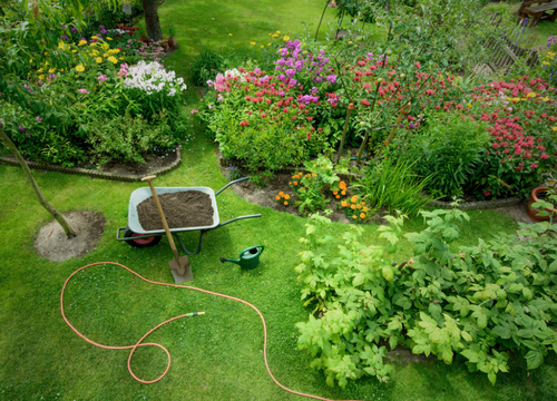 Gardening