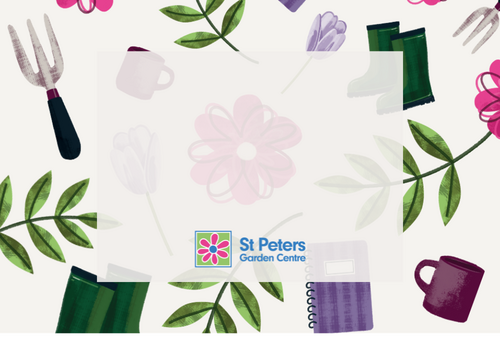 Gift Vouchers