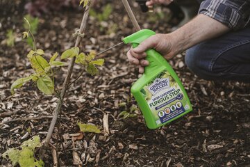 Gro-Sure Natural Power Disease & Fungus 800ml - image 2