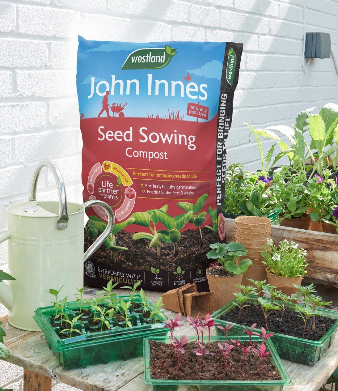 John Innes Peat Free Seed Sowing Compost 28L St Peters Garden Centre