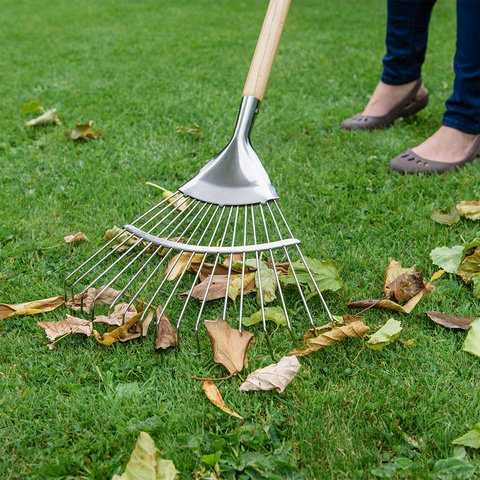 Kent & Stowe Stainless Steel Long Lawn and Leaf Rake - image 2