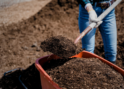 Peat Free Compost & Soil