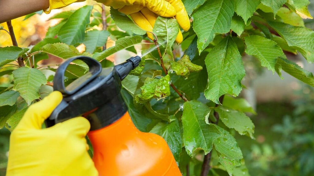 Garden Pest Control & Animal Repellents St Peters Garden Centre