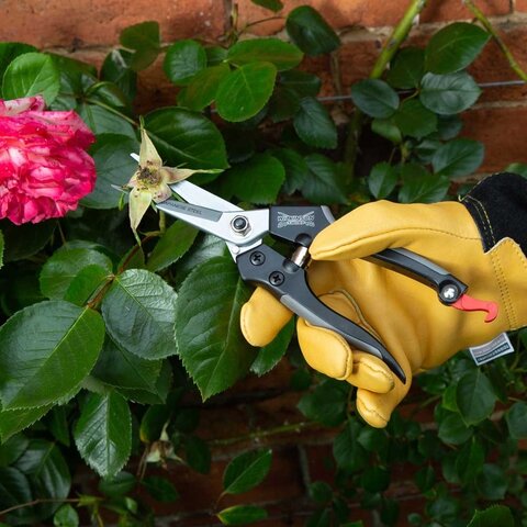Stainless Steel Straight Pruning Snip - image 2