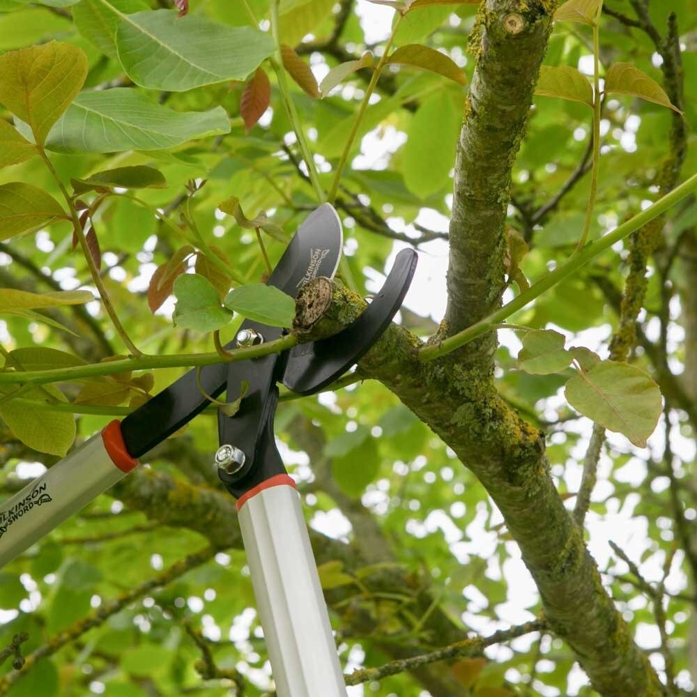 Geared Bypass Loppers St Peters Garden Centre