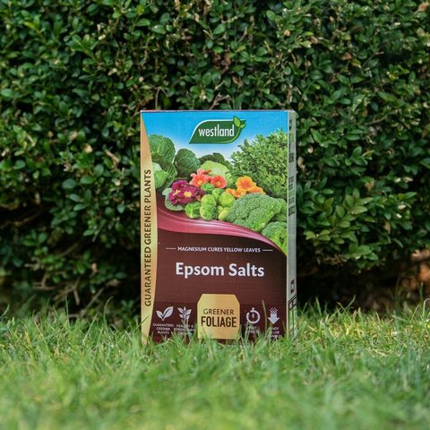 Epsom Salts 1.5kg - image 1