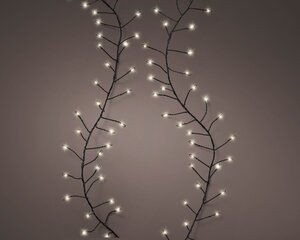 6m Micro Compact LED Lights Warm White - image 2