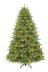 2.1m KENSINGTON FIR PRE LIT