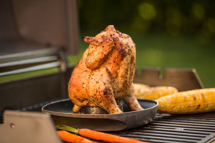 Deluxe Poultry Roaster - image 2