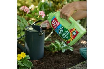 Gro-Sure All Purpose Plant Food - 1L + 50% Extra free - image 2