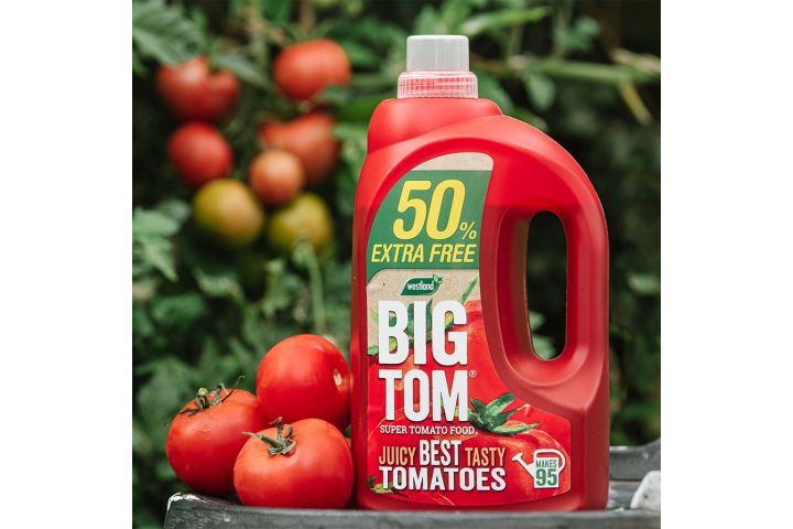 BIG TOM Super Tomato Food 1.25L + 50% Extra Free - image 2