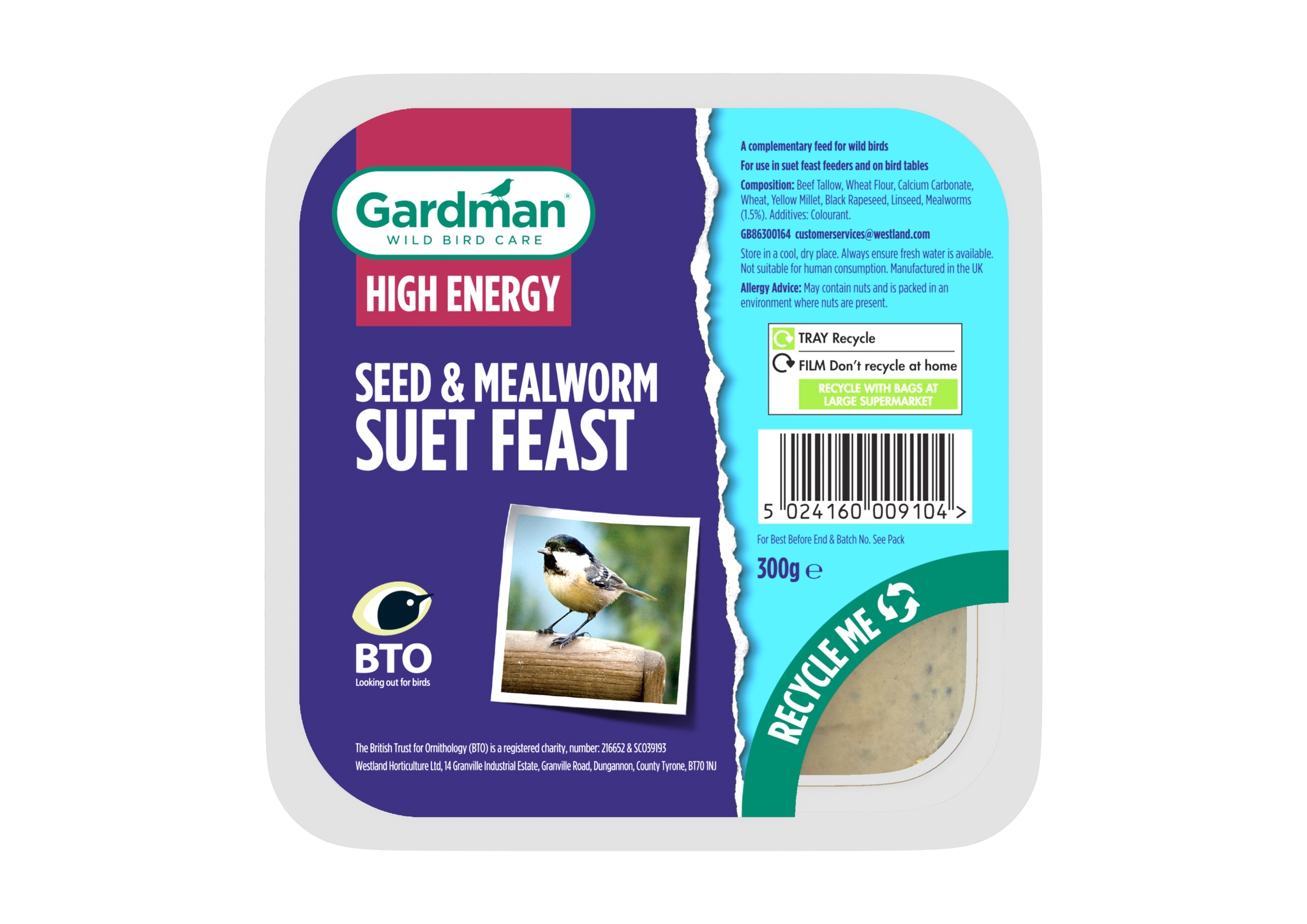 Gardman Seed & Mealworm Suet Feast St Peters Garden Centre