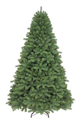 2.1m Colorado Spruce Narrow