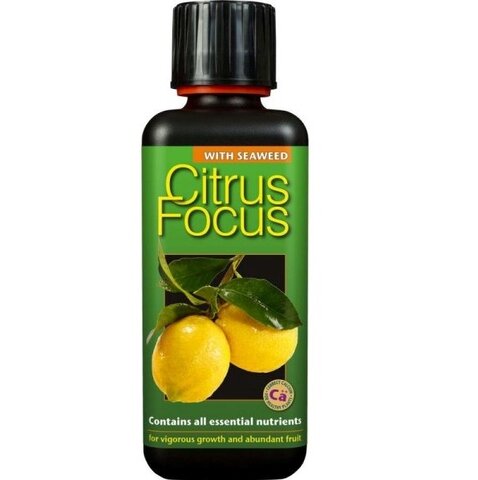 Citrus Focus 300ml