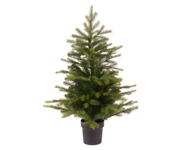 60cm Grandis mini tree indoor