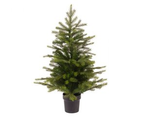60cm Grandis mini tree indoor