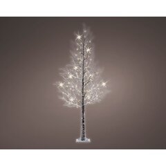 1.8m LED Branch Tree Xmas (Outdoor)