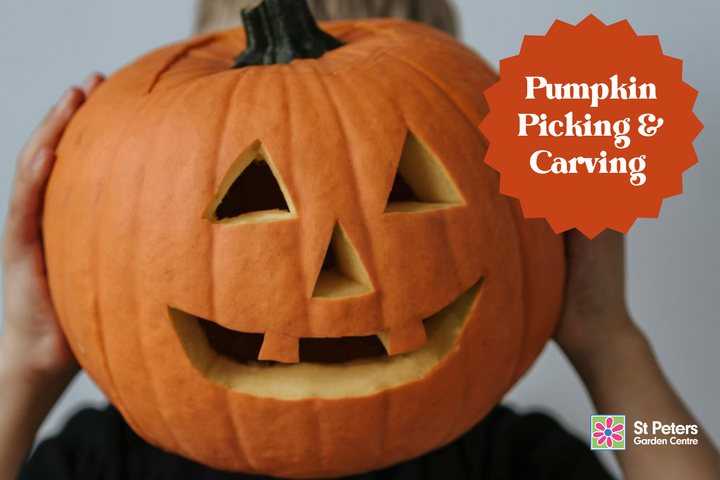 Kids Pumpkin Carving