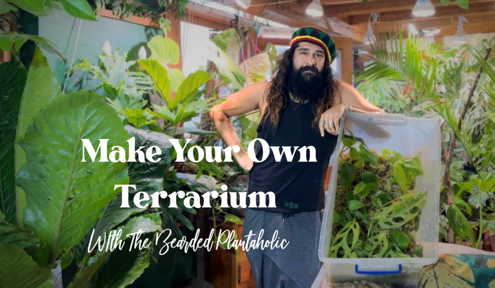 Terrarium Workshop
