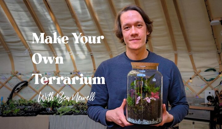 Terrarium Workshop