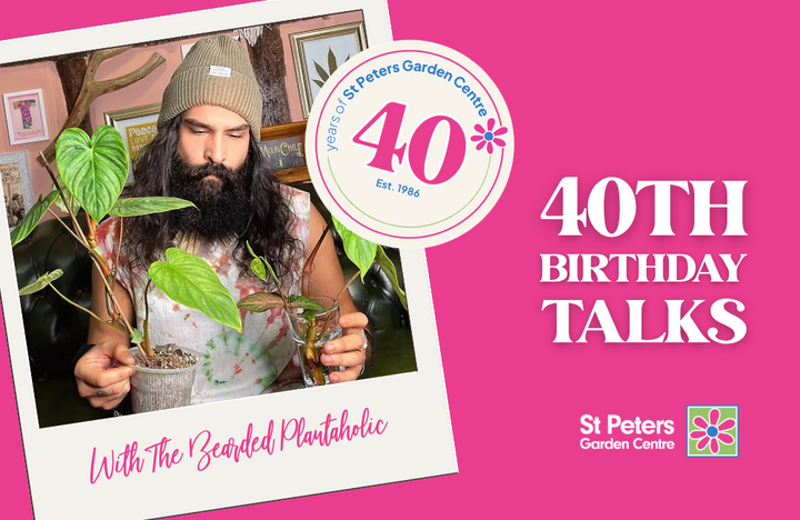 From House to Jungle – A Talk with The Bearded Plantaholic