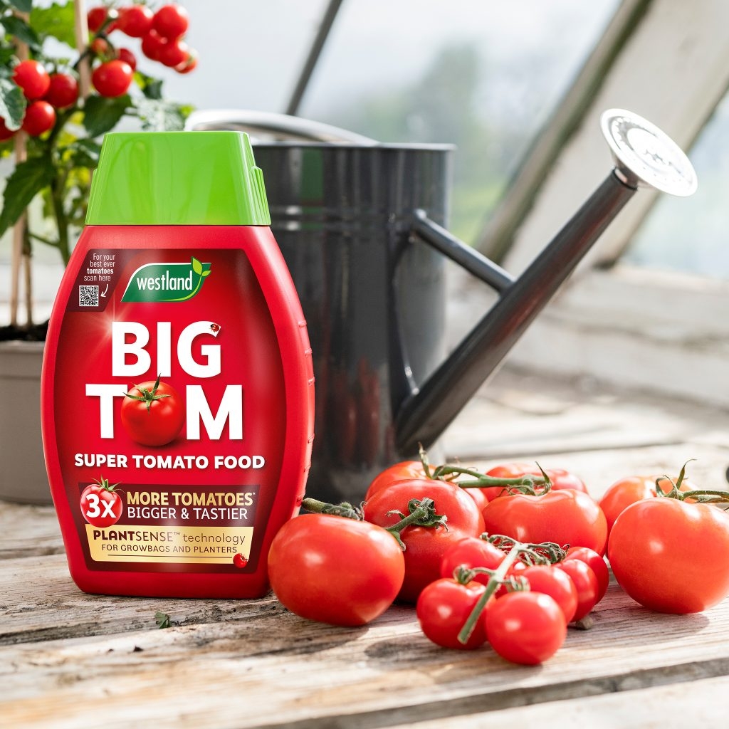 トイガン TOMATO Westland Big Tom Tomato Food 1.25L - St Peters Garden Centre